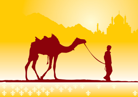Camel Scene